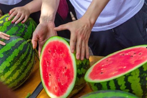 天津学校最新吃瓜爆料,揭秘校园风云事件内幕  第3张